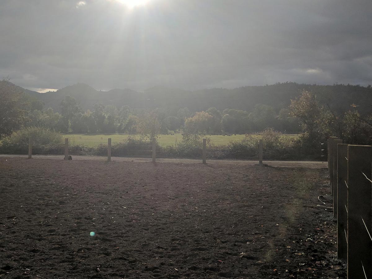 An arena with square wooden posts and thin wire is set against a pasture where the sun is getting ready to set